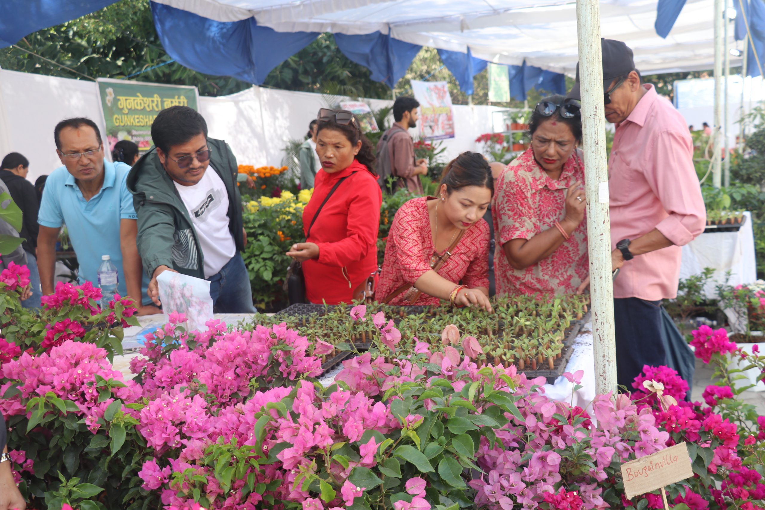 तिहार फ्लोरा एक्स्पो चौथो दिन, फोटो फिचर