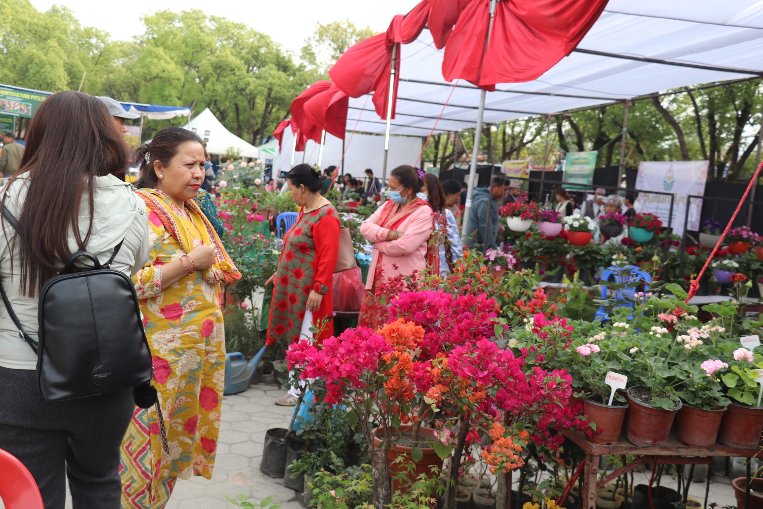 तेश्रो‘ हर्टिकल्चर एक्स्पो–२०८२’ को दोश्रो दिन भीड (फोटो फिचर)