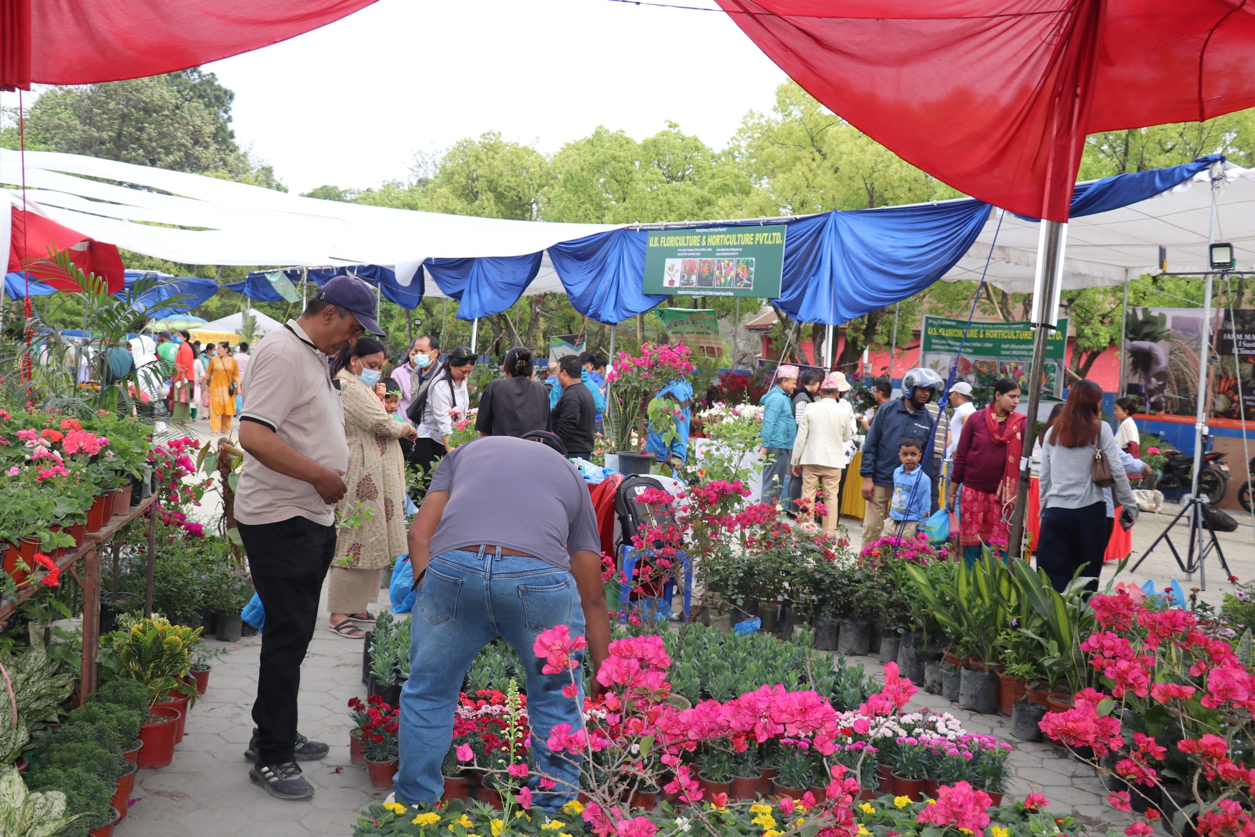 हर्टिकल्चर एक्स्पो–२०८२ तेश्रो दिनसम्म १ करोड २५ लाखको ब्यापार